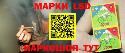 крисы Кинель