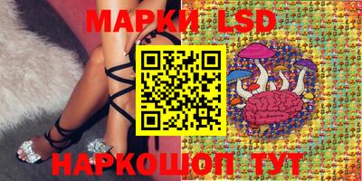 крисы Кинель