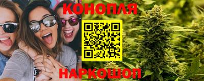 не бодяженный Кингисепп