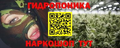 не бодяженный Кингисепп