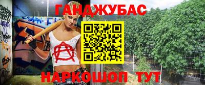 крисы Кинель