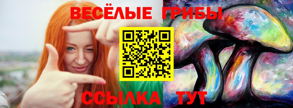 Псилоцибиновые грибы MAGIC MUSHROOMS Армавир