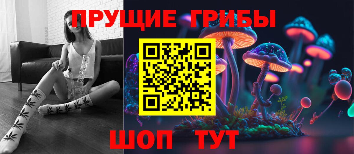 Армавир  Псилоцибиновые грибы Cubensis  Вход с VPN 